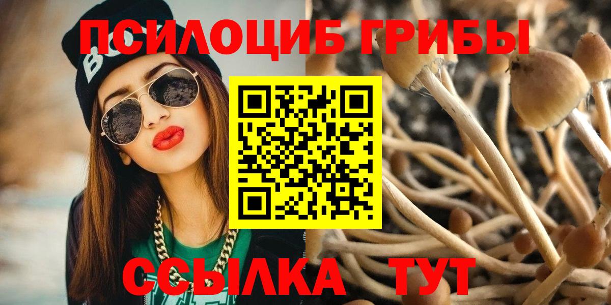 Псилоцибиновые грибы мицелий Котлас